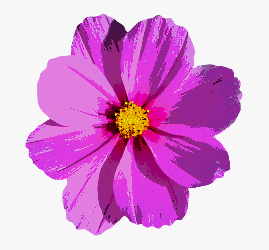 Flor, La Naturaleza, Planta, Púrpura, Flor Morada - Flower Bloom Png,  Transparent Png - kindpng