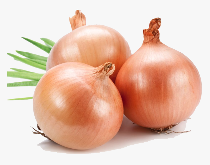 Onion Png File - Onion Images Hd Png, Transparent Png, Free Download