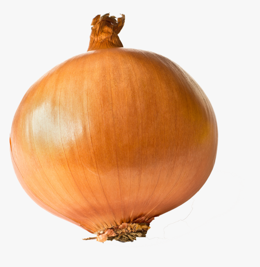 Onion Free Transparent Images - One Onion, HD Png Download, Free Download