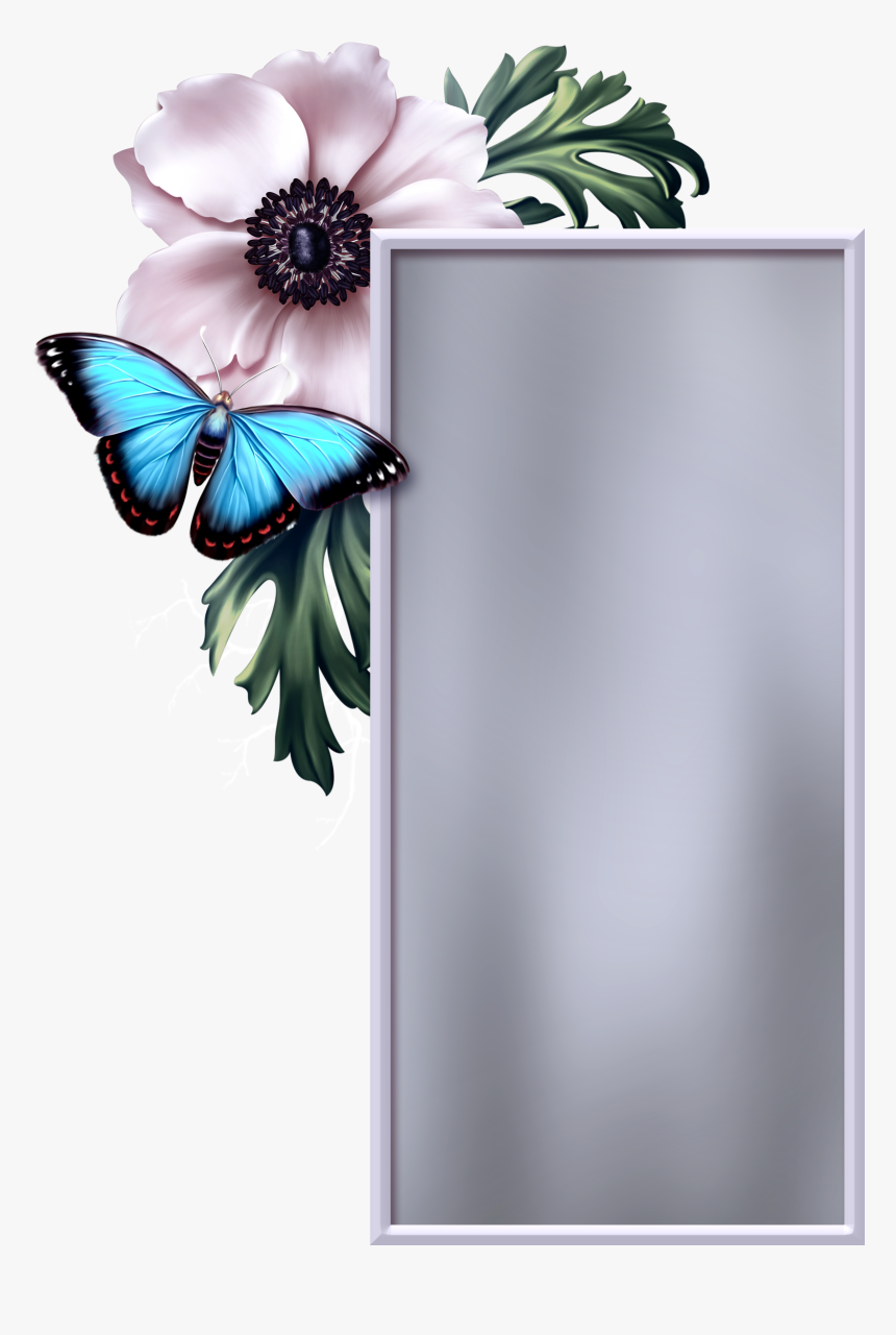 Swallowtail Butterfly Clipart , Png Download - Swallowtail Butterfly, Transparent Png, Free Download