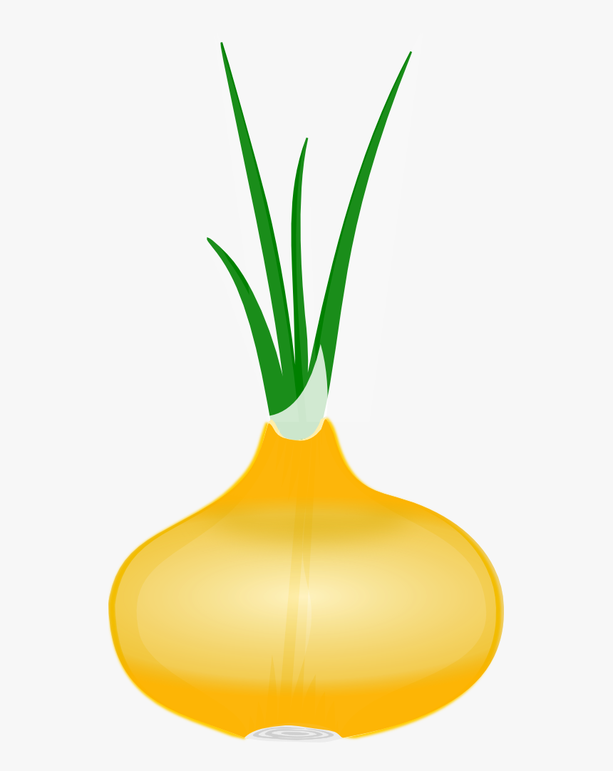 Onion Seiten 2023 Onion Seiten 2023