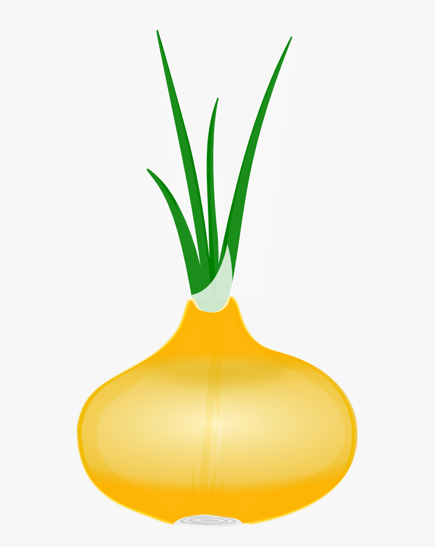 Free Onion Clip Art - Onion Clip Art, HD Png Download, Free Download