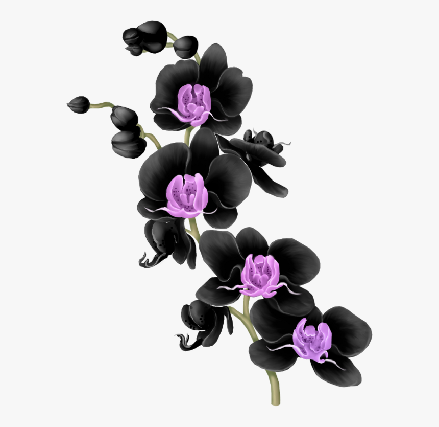 Fleurs Flores Bloemen Png - Enredadera Morada Png, Transparent Png, Free Download