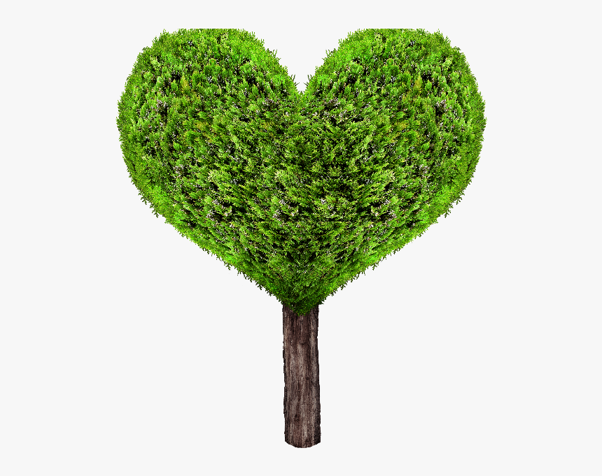 Green Heart Tree Png - Heart Tree Png, Transparent Png, Free Download