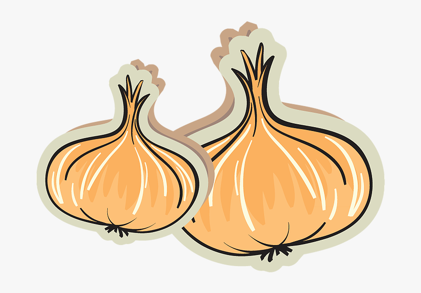 Transparent Onion Slice Png - Garlic, Png Download, Free Download