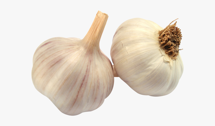 Garlic Png, Transparent Png, Free Download