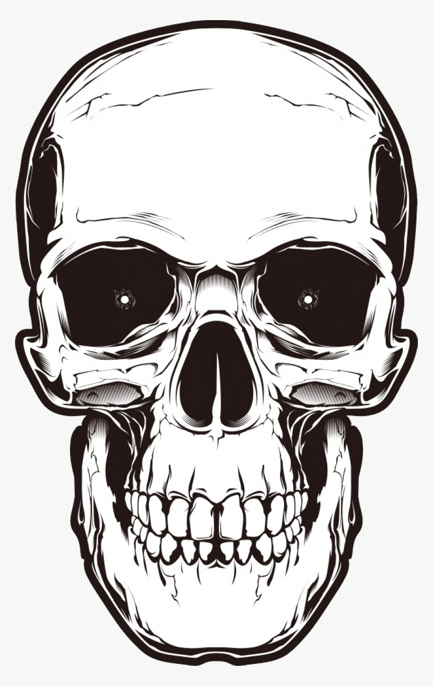 Transparent Background Skull Clipart, HD Png Download, Free Download