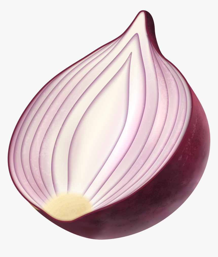 Png Clip Art Image - Clipart Onion Png, Transparent Png, Free Download