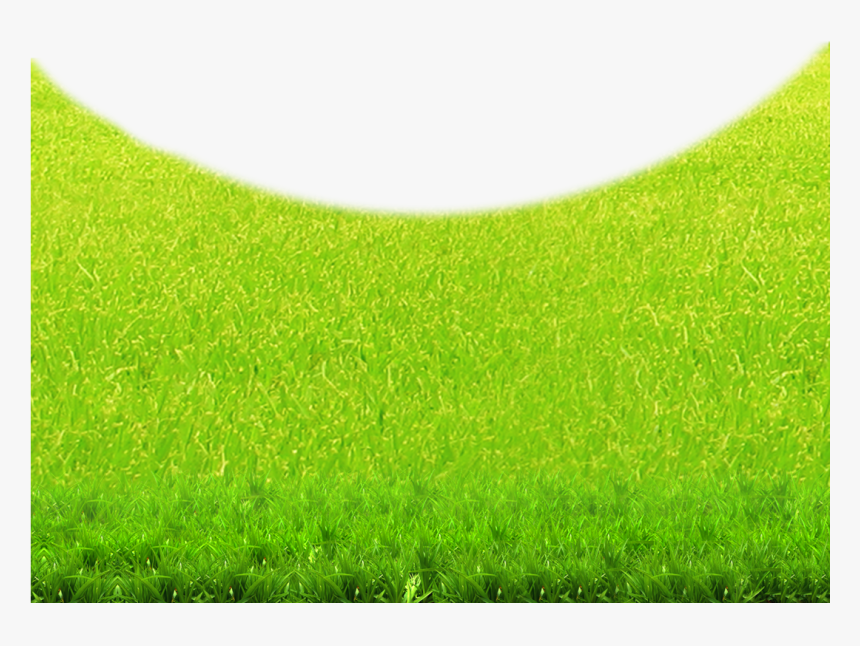 Lawn Green Grasses Grassland Wallpaper - Lawn, HD Png Download, Free Download