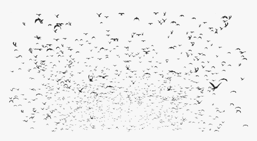 Sky, Doves, Silhouette, Dove, Birds, Flock, Swarm - Flock, HD Png Download, Free Download