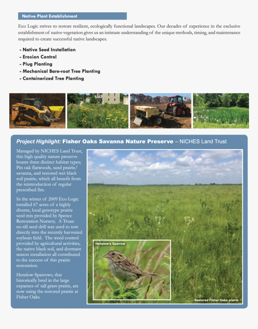 Transparent Prairie Grass Png - Field, Png Download, Free Download