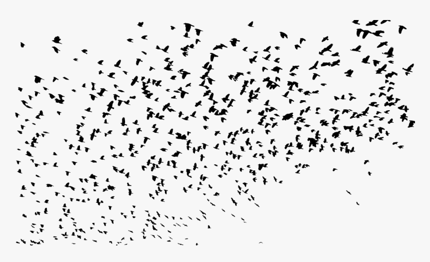 Flock Of Birds Silhouette Png, Transparent Png, Free Download