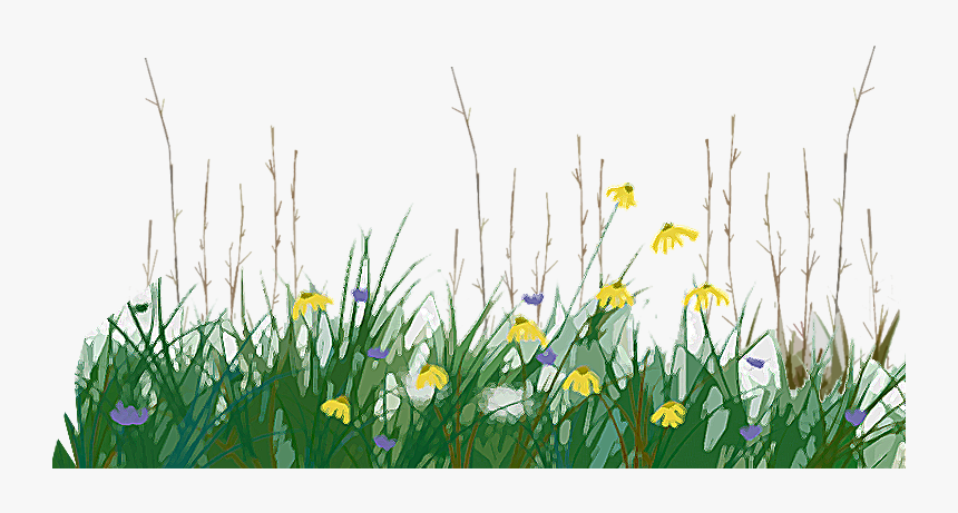 Grassland - Temperate Grasslands Png, Transparent Png, Free Download