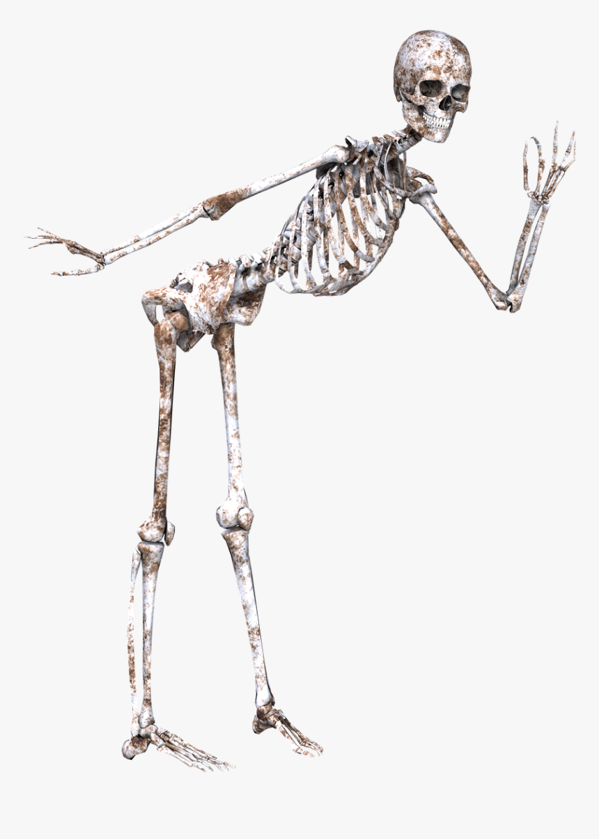 Skeleton Pose Skull Free Picture - Ugly Skeleton, HD Png Download, Free Download