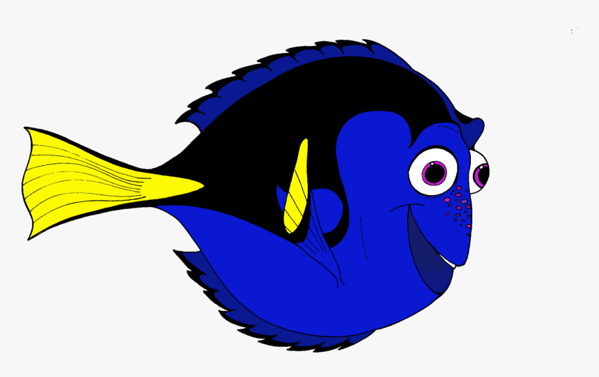 Marlin Clownfish Drawing Zebra Transprent Png Free - Desenho De Peixe Colorido, Transparent Png, Free Download