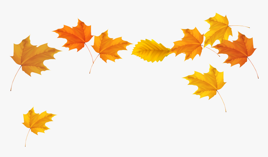 Autumn Leaves Clipart Dead Leaf - Fall Leaves Transparent Background, HD Png Download, Free Download