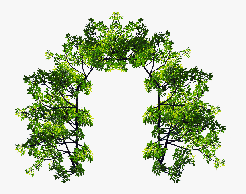 Arch With Green Leaves And Tree Branches Png Image - Leaves Arch, Transparent Png, Free Download