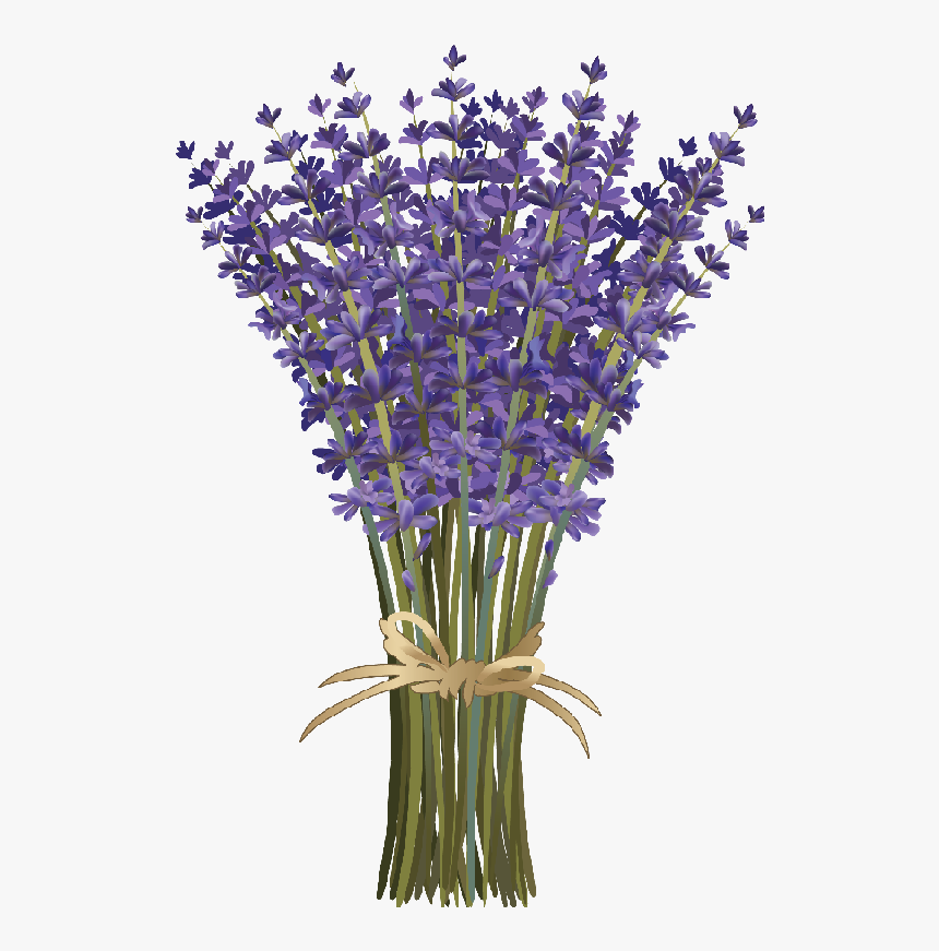 Lavender Clipart, HD Png Download, Free Download