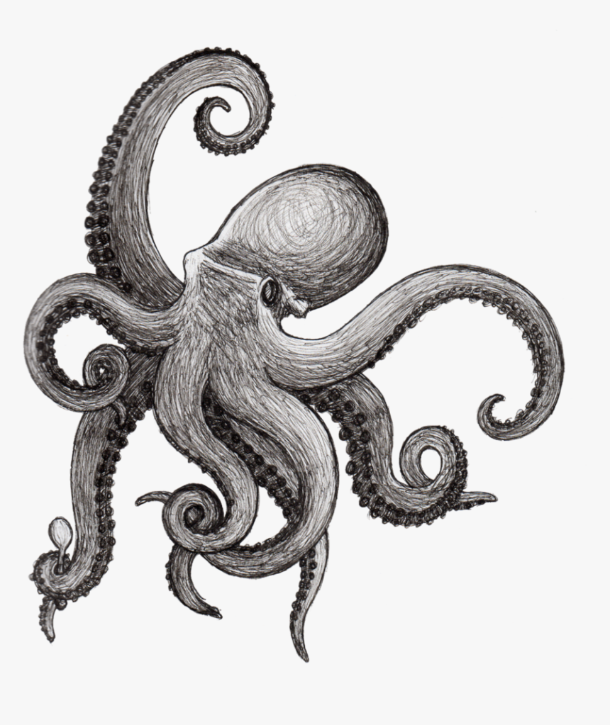 Griffe Polvo E Desenhos Pinterest Kraken - Kraken Png, Transparent Png, Free Download