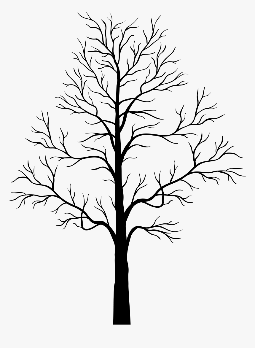 Collection Of Free Tree Drawing Heart Download On Ui, HD Png Download, Free Download