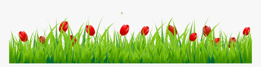 Clipart Borders Tulip - Grass With Flowers Png, Transparent Png, Free Download