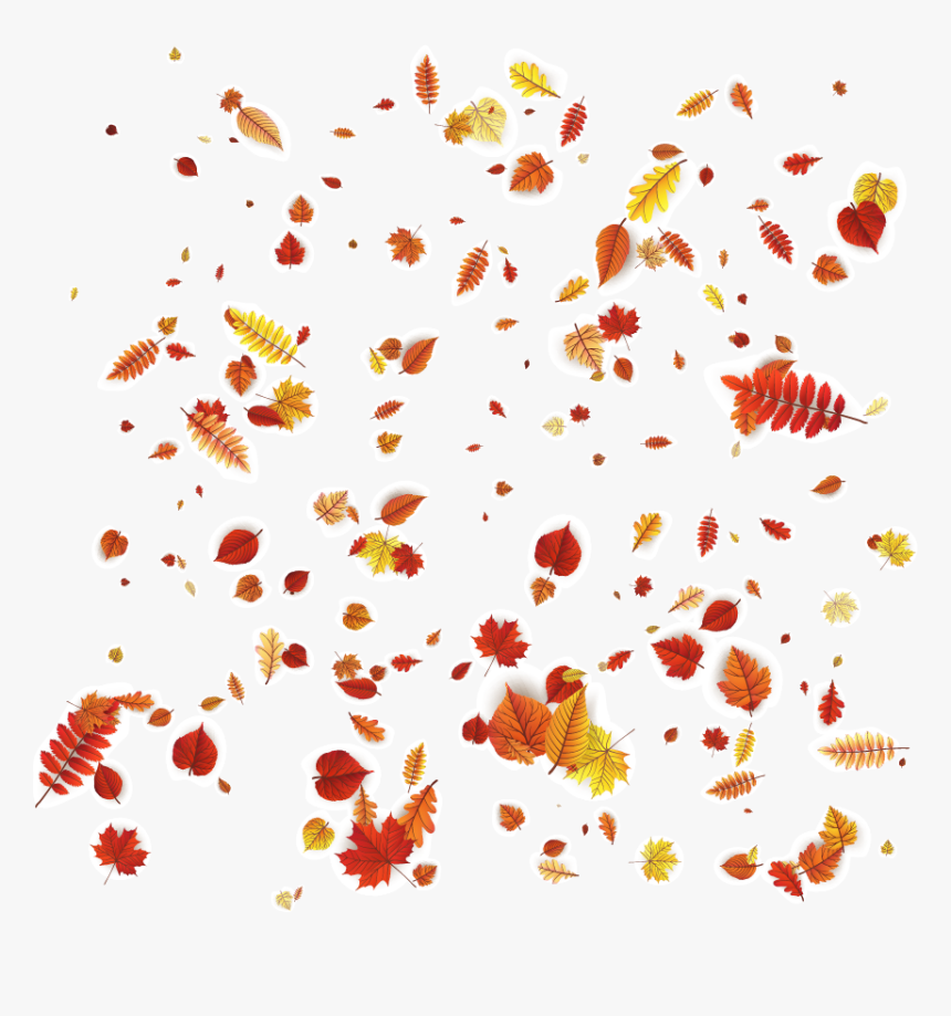 Petal Floral Design Orange Pattern - Autumn Leaves Falling Vector, HD Png Download, Free Download