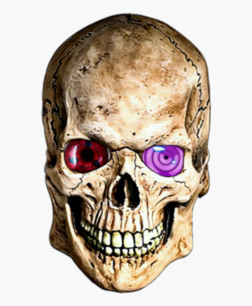 Transparent Scull Png - Skulls Masks, Png Download, Free Download