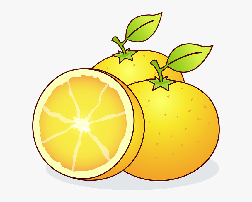 Clip Art Citrus Fruit, HD Png Download, Free Download