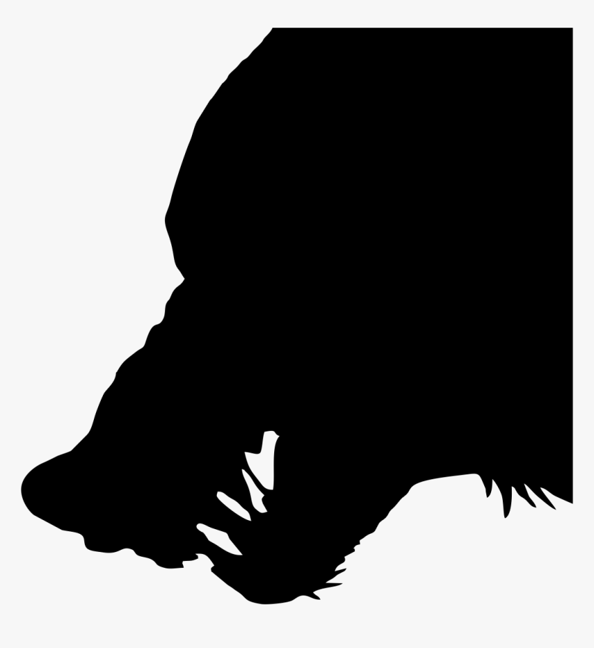 Wolf Rain Vector By Fvsj - Wolf Head Silhouette Png, Transparent Png, Free Download