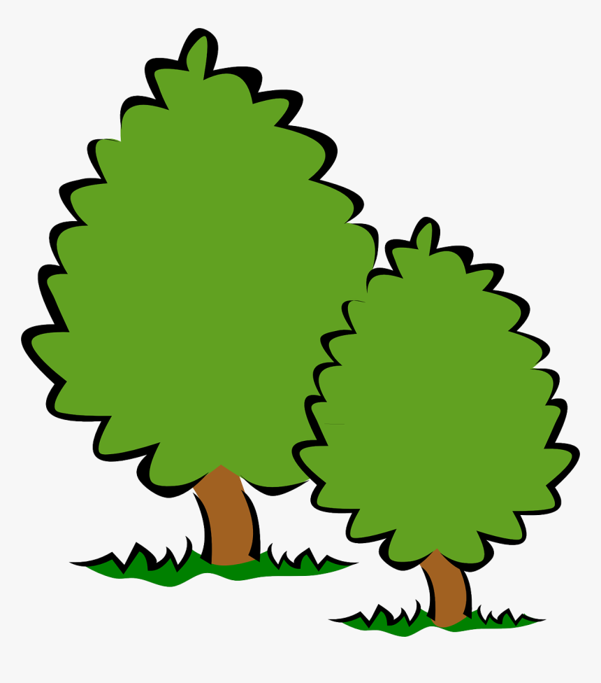 Transparent Background Trees Clipart, HD Png Download, Free Download