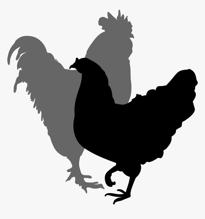 Egg Clipart Silhouette - Rooster And Hen Silhouette, HD Png Download, Free Download