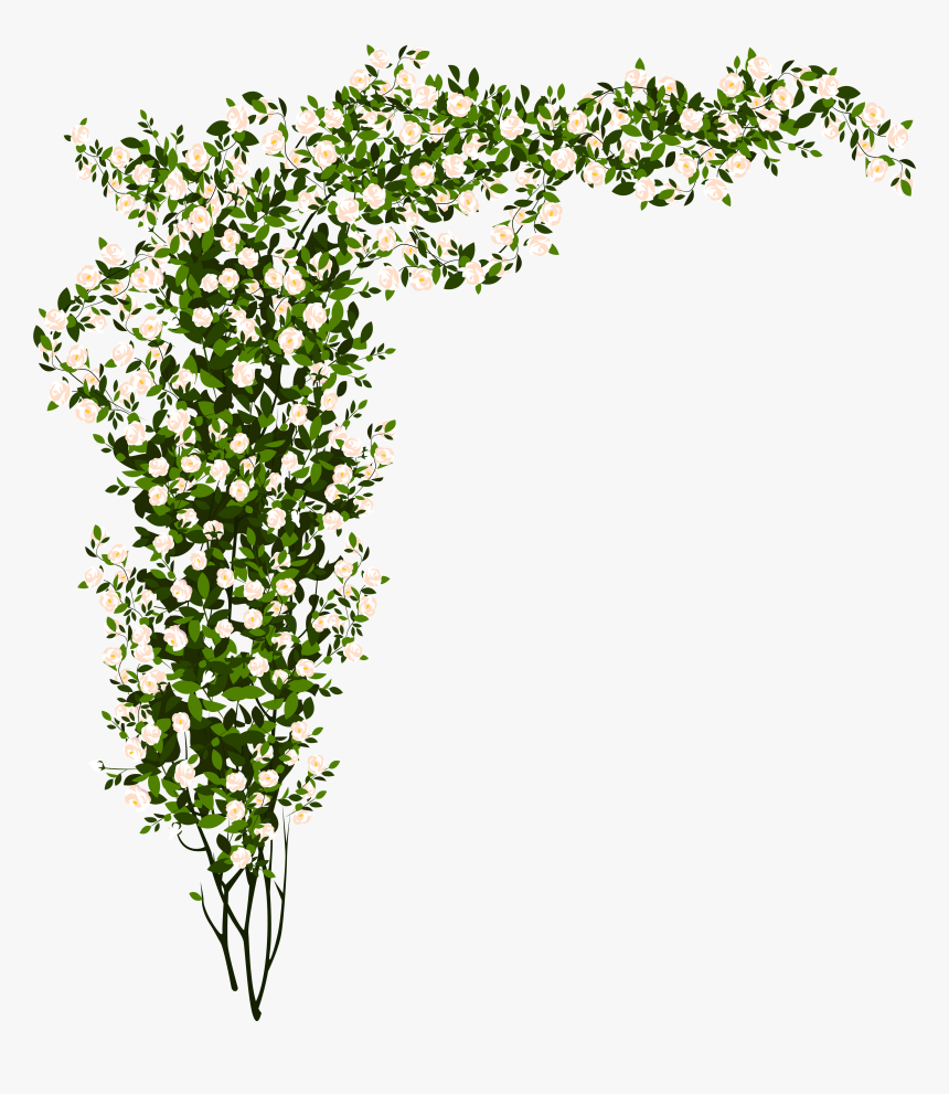 Rose Plant Png Black And White - Small White Flower Png, Transparent Png, Free Download