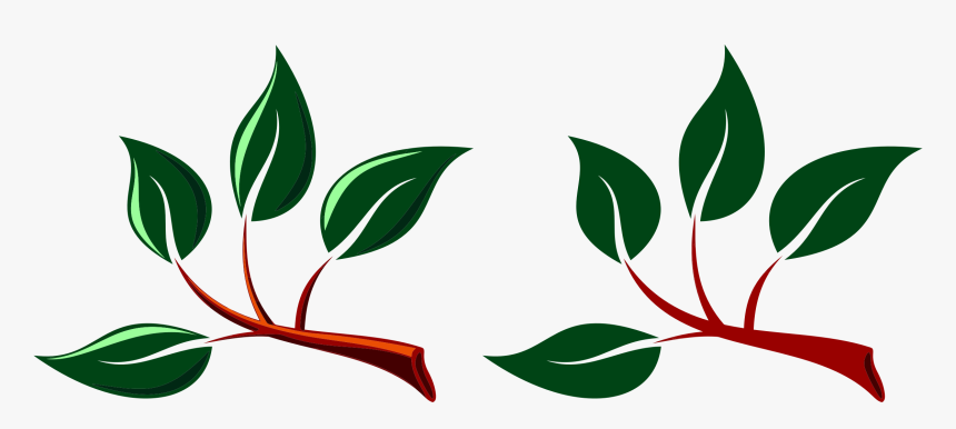 Two Branches With Leaves Clip Arts - Clipart Leaf Branch Png, Transparent Png, Free Download