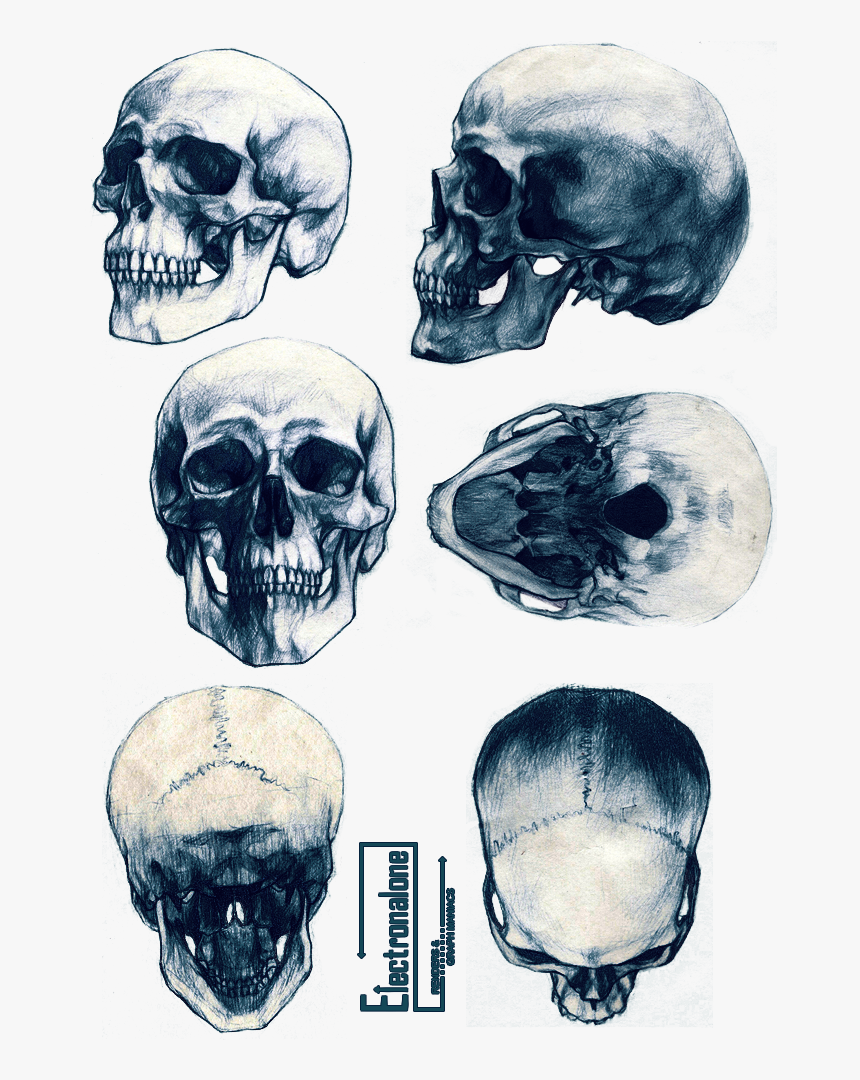 Kim Jung Gi Skull, HD Png Download, Free Download