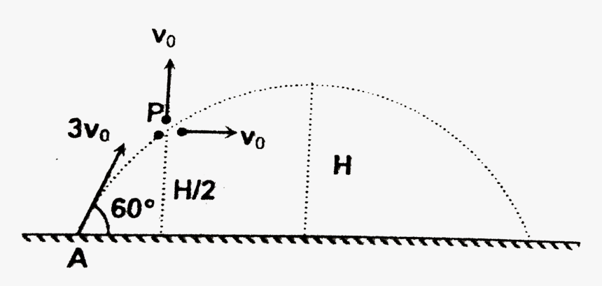 Diagram, HD Png Download, Free Download