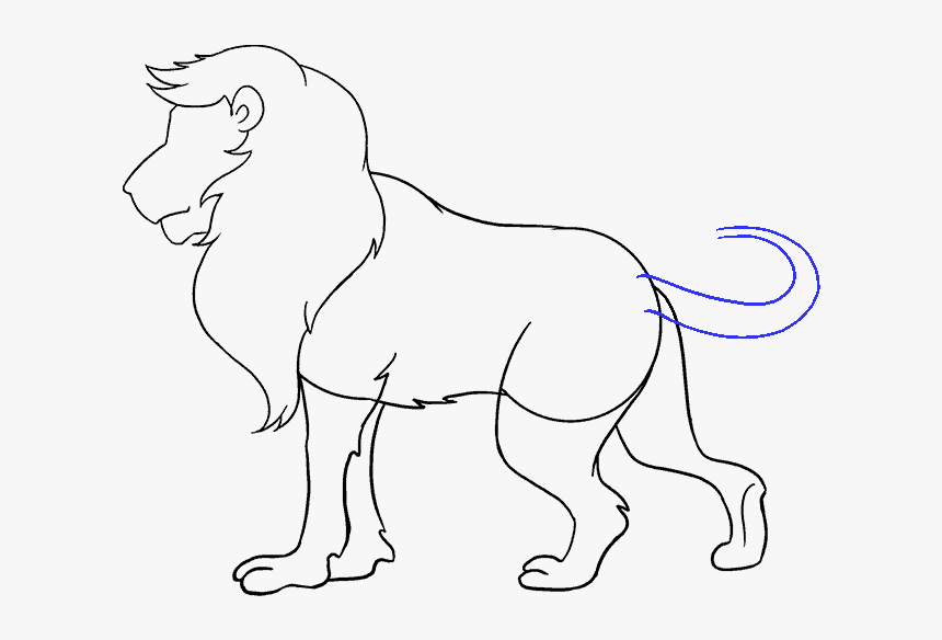 How To Draw Lion - Lion Picture For Drawing, HD Png Download, Free Download