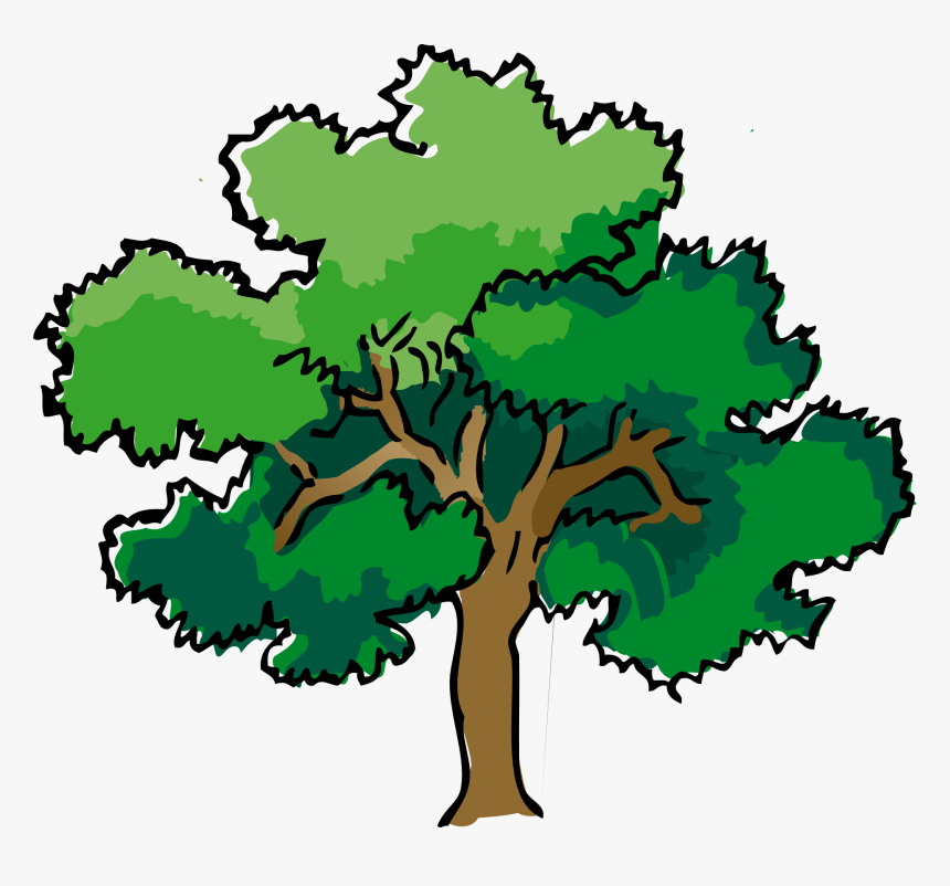 Trees And Shrubs Clipart - Tree Drawing With Color, HD Png Download, Free Download