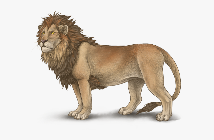 Lioden Male Lion, HD Png Download, Free Download