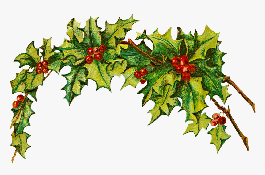 Seasons Greetings Clip Art - Vintage Christmas Holly Png, Transparent Png, Free Download