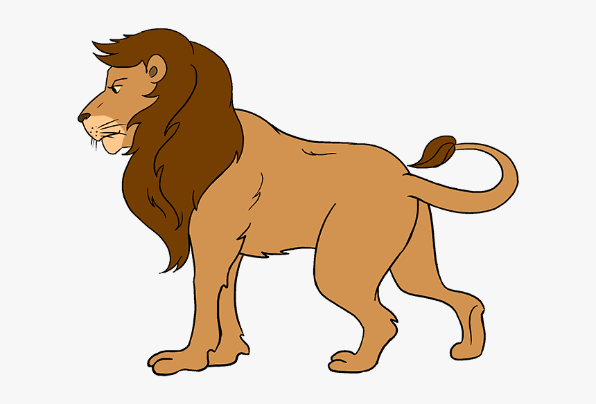 How To Draw Lion - Easy Carnivores Animal Drawing, HD Png Download, Free Download