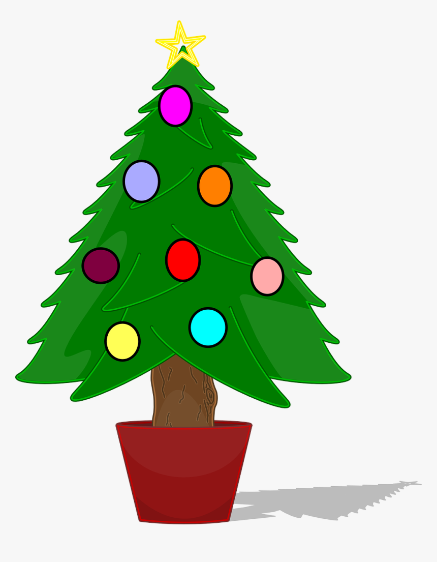 Christmas Tree Not Decorated, HD Png Download, Free Download