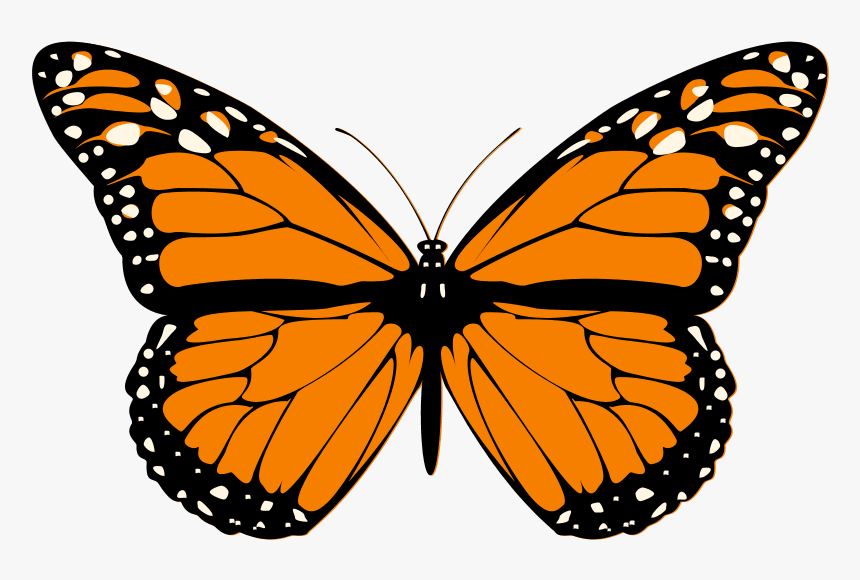 Orange Butterfly Clip Art, HD Png Download, Free Download