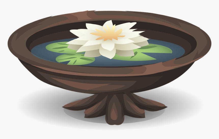 Water Lily, Lily, Pond, Bath, Pool, Garden, Lotus - Pool Lotus Png, Transparent Png, Free Download