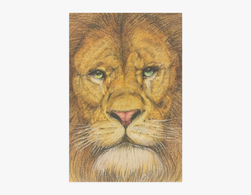 Regal Lion Drawing Poster 16"x24" - Lion, HD Png Download, Free Download