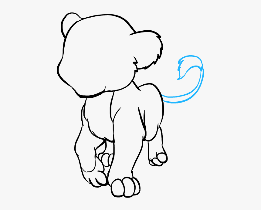 How To Draw Baby Lion - Draw A Baby Lion Step, HD Png Download, Free Download