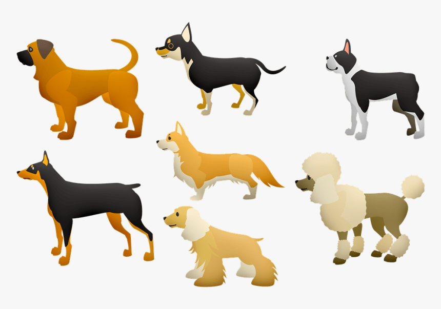 Dogs - Dogs Body Language, HD Png Download, Free Download