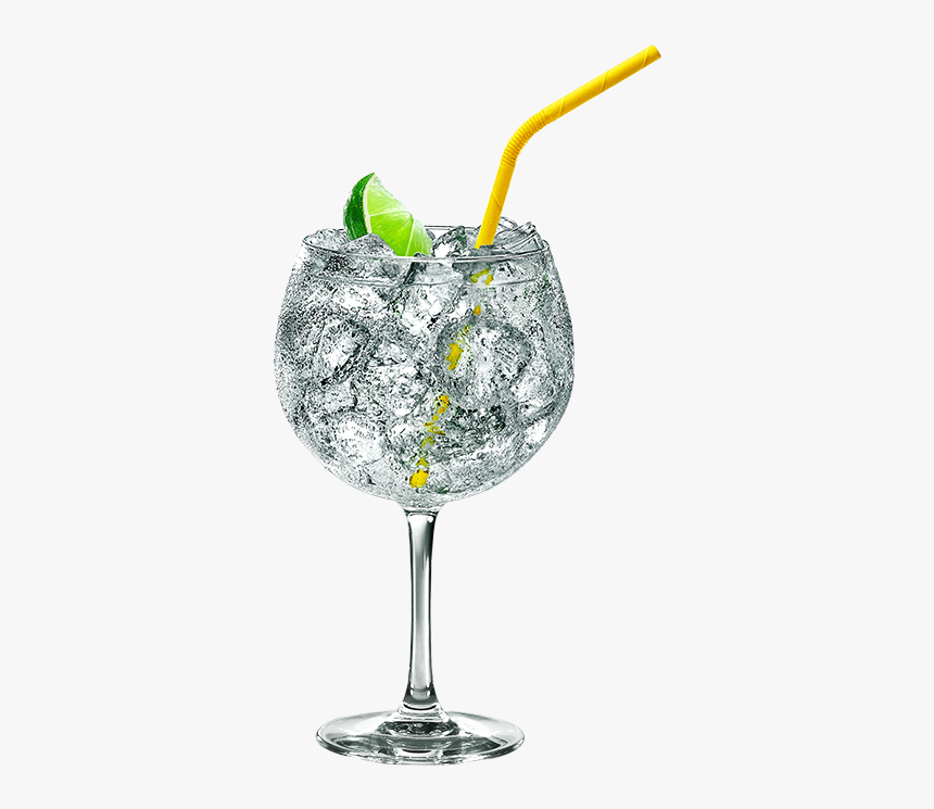Transparent Gin Glass Png, Png Download, Free Download