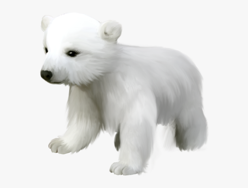 Cute Polar Bear Transparent, HD Png Download, Free Download