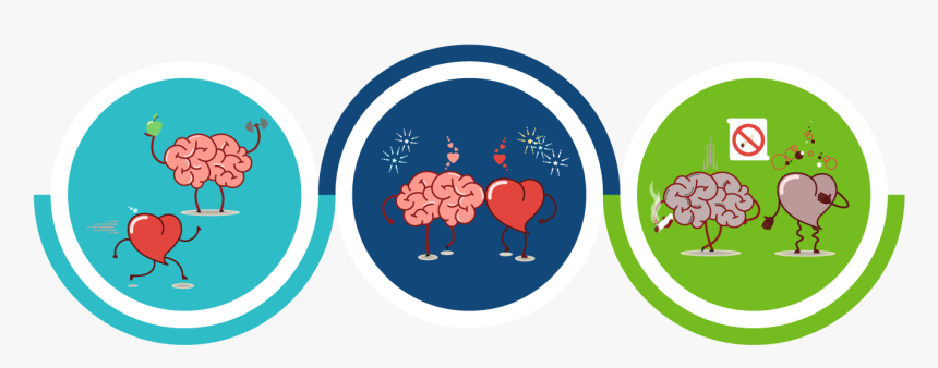 Brain Health Connection Banner - Heart And Brain Png, Transparent Png, Free Download