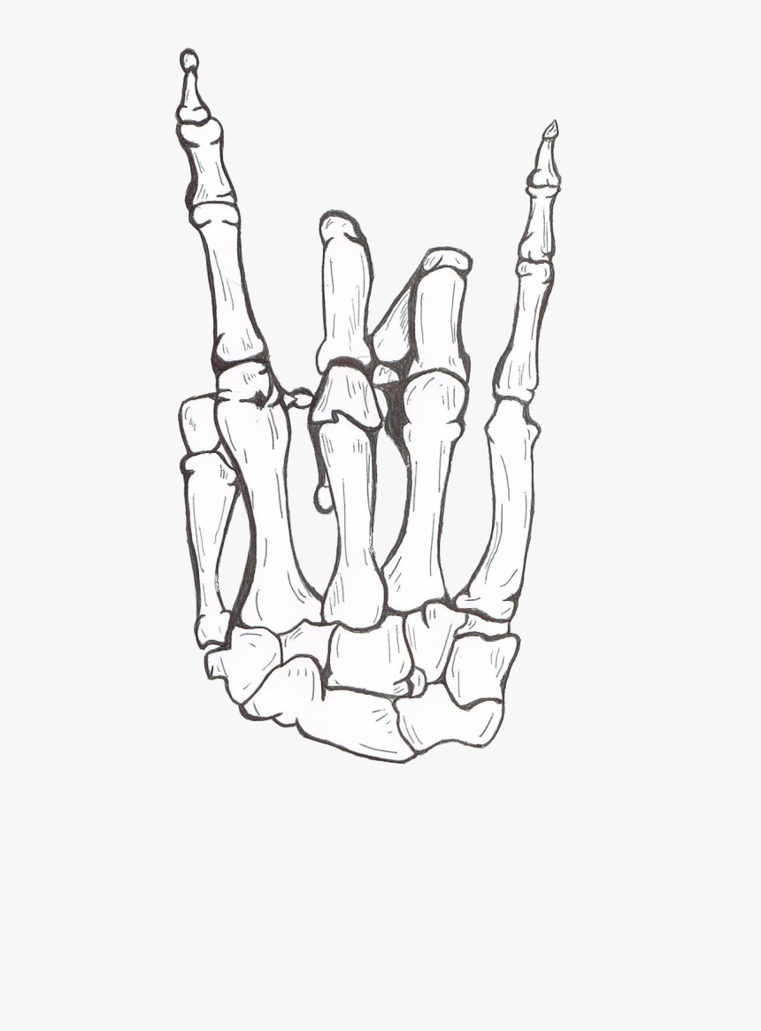 Transparent Hand Tattoo Png - Hang Loose Skeleton Hand, Png Download, Free Download
